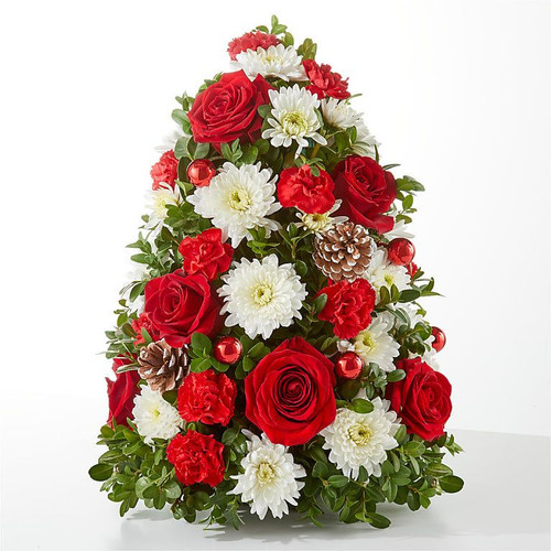 Boxwood Tree in Red & White