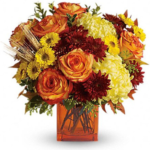 AUTUMN JOY AUTUMN JOY