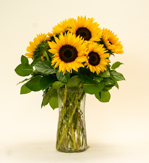 Stunning Sunflowers