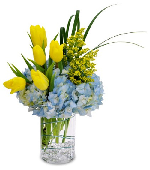 This fresh cut arrangement features blue hydrangeas, yellow tulips and aster.  This winning color combination is perfect for many occasions.