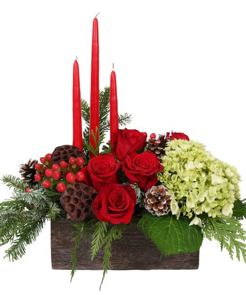 WISH - New for the Holidays! WISH - New for the Holidays!