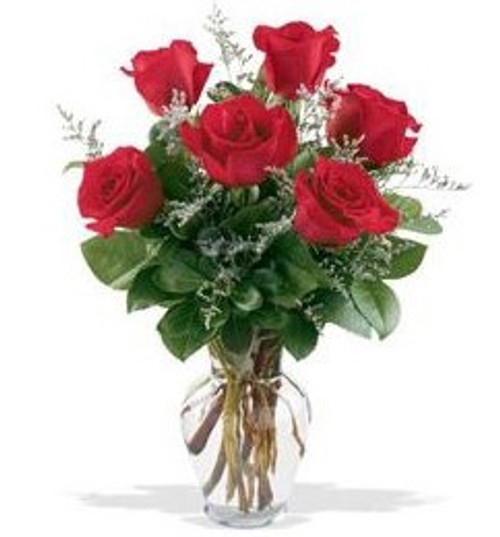 HALF DOZEN ROSES -  6 Long Stem Premium 