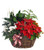 BLOOMING POINSETTIA BASKET