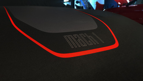 2021 Mach 1 Car Cover