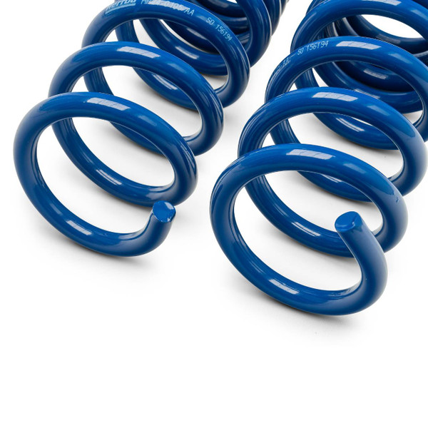 2024-2026 HERROD PERFORMANCE MUSTANG LOWERING SPRINGS