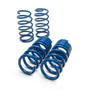 2024-2026 HERROD PERFORMANCE MUSTANG LOWERING SPRINGS