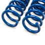 2024-2026 HERROD PERFORMANCE MUSTANG LOWERING SPRINGS