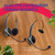 BlueParrott B250-XT Headset Kit 6pk- 2 Leather & 2 Foam Ear Cushions, 2 Foam Mic Windscreens; by GTW
