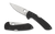 C247GP Spyderco Siren Folding Knife