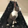 Bear In The Hood - The Pet Teepee Pattern Small Cats and Dogs