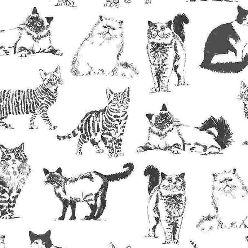 Timeless Treasures - Sketched Cats White - 100percent Cotton Fabric - pound14 p/m