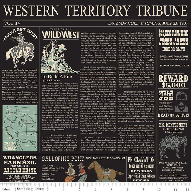 Last FQ - Riley Blake - Cowboy Country - Newsprint