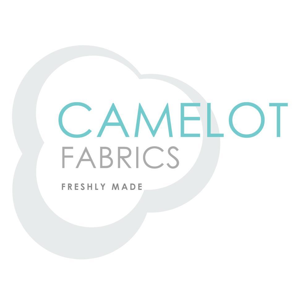 camelot-logo.jpg