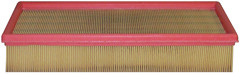 Baldwin PA4785 Panel Air Element