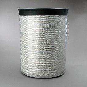 Donaldson P182038 Air Filter