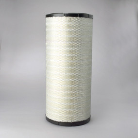Donaldson P786106 Air Filter