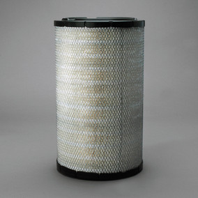 Donaldson P780911 Air Filter