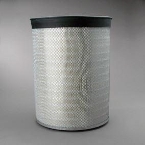 Donaldson P181038 Air Filter