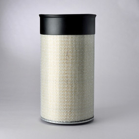 Donaldson P182078 Air Filter