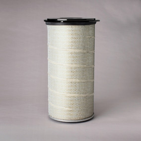 Donaldson P780815 Air Filter