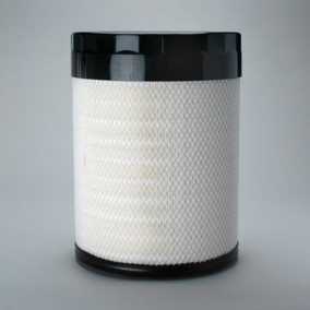 Donaldson P786197 Air Filter