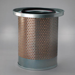 Donaldson P781373 Air Filter