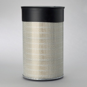 Donaldson P182043 Air Filter