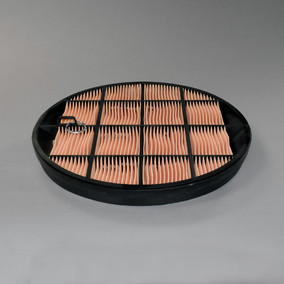 Donaldson P631511 Air Filter, Safety