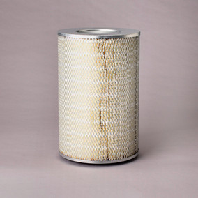 Donaldson P778441 Air Filter