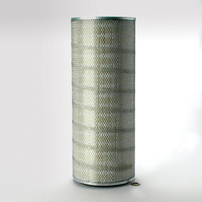 Donaldson P520620 Air Filter