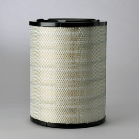 Donaldson P533938 Air Filter