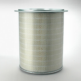Donaldson P182099 Air Filter