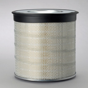 Donaldson P522874 Air Filter
