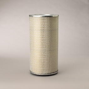 Donaldson P182070 Air Filter