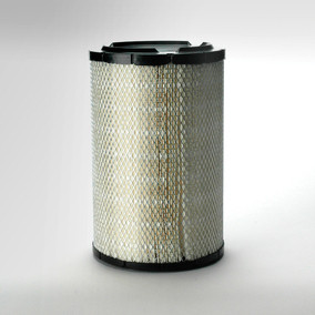 Donaldson P821938 Air Filter