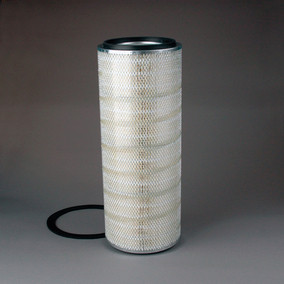 Donaldson P181016 Air Filter