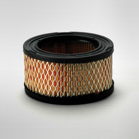 Donaldson P528206 Air Filter