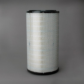 Donaldson P537876 Air Filter