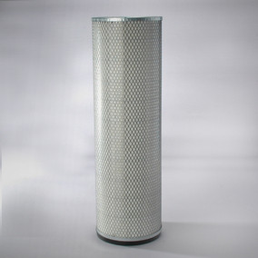 Donaldson P127309 Air Filter, Safety