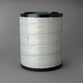 Donaldson P540388 Air Filter