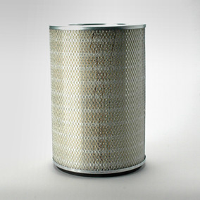 Donaldson P182046 Air Filter