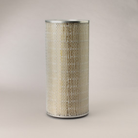 Donaldson P145756 Air Filter