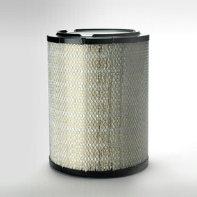Donaldson P536577 Air Filter