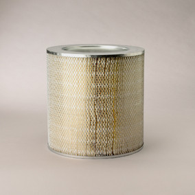 Donaldson P181031 Air Filter