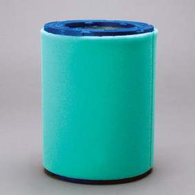 Donaldson P606280 Air Filter