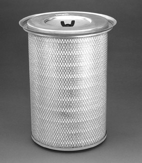 Donaldson P607283 Air Filter