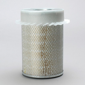 Donaldson P101038 Air Filter