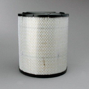 Donaldson P532473 Air Filter