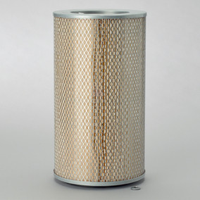 Donaldson P546567 Air Filter