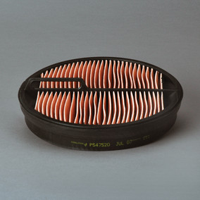 Donaldson P547520 Air Filter, Safety